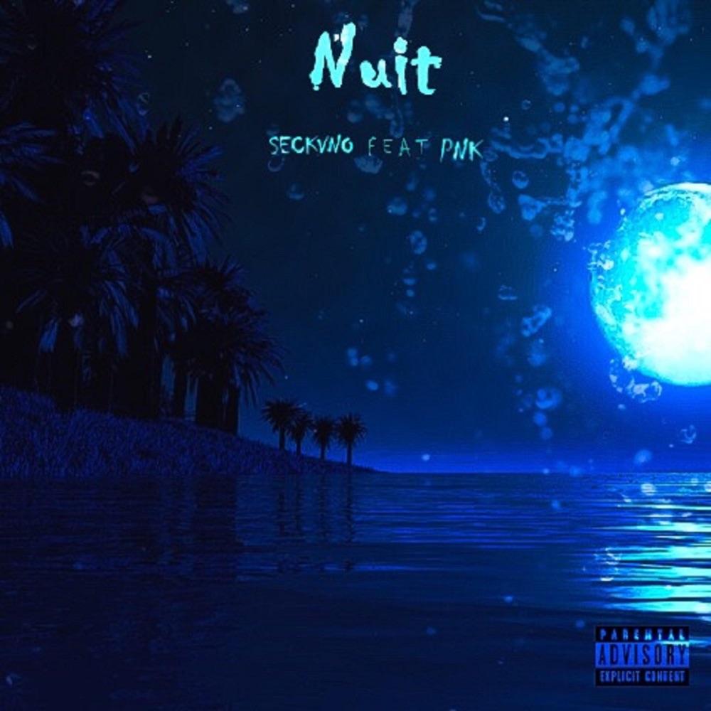 Nuit (feat. PNK)